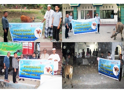 PT Comextra Majora & PT BCCI Donate 4 Cows for Eid Al-Adha Sacrifice