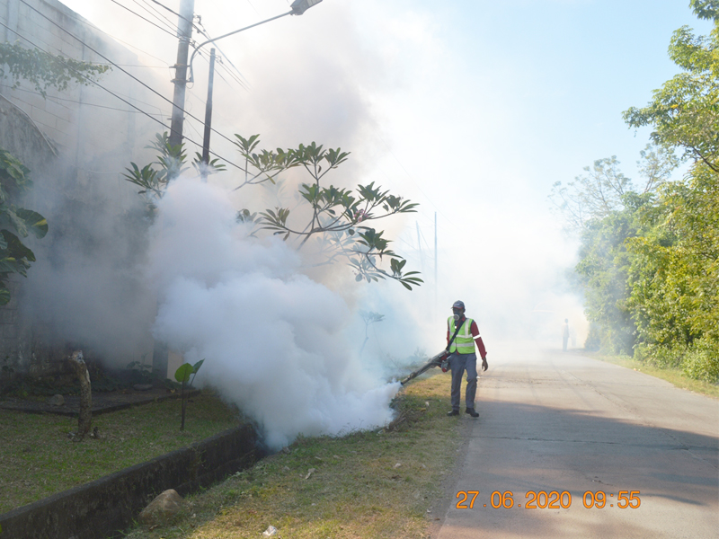 Mosquito fumigation hot sale